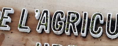 Atelier semis & repiquage 2024