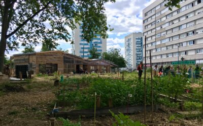 Webinaire | Le vivant sauvera-t-il nos vies d&rsquo;urbains ?