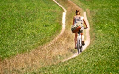 WEBINAIRE Mobilité durable : comment concilier inclusion et transition écologique ?