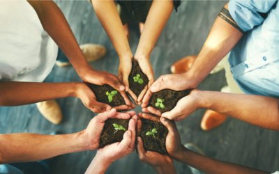 Webinaire : la RSE doit-elle disparaître ?