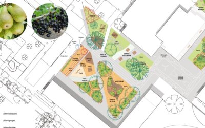 Retour d&rsquo;expérience d&rsquo;un directeur d&rsquo;école de Strasbourg sur la végétalisation de la cour
