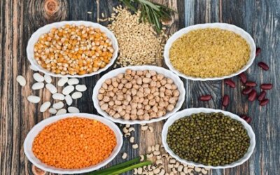 9° mot de la promo | Un avenir durable avec les légumineuses : prenez-en de la graine !