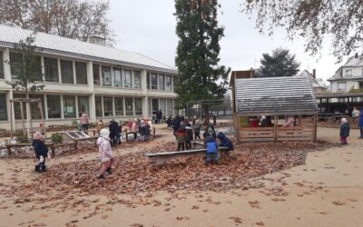 Guide : Des outils pour une éducation à l’environnement dans la cour