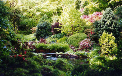 Jardin-forêt : une pratique ancestrale pour un avenir durable ?