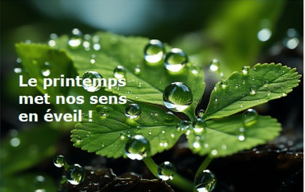 La 24ème newsletter d&rsquo;ECO-Conseil est sortie !