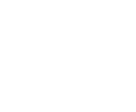 Logo de Eco Conseil sans le pictogramme
