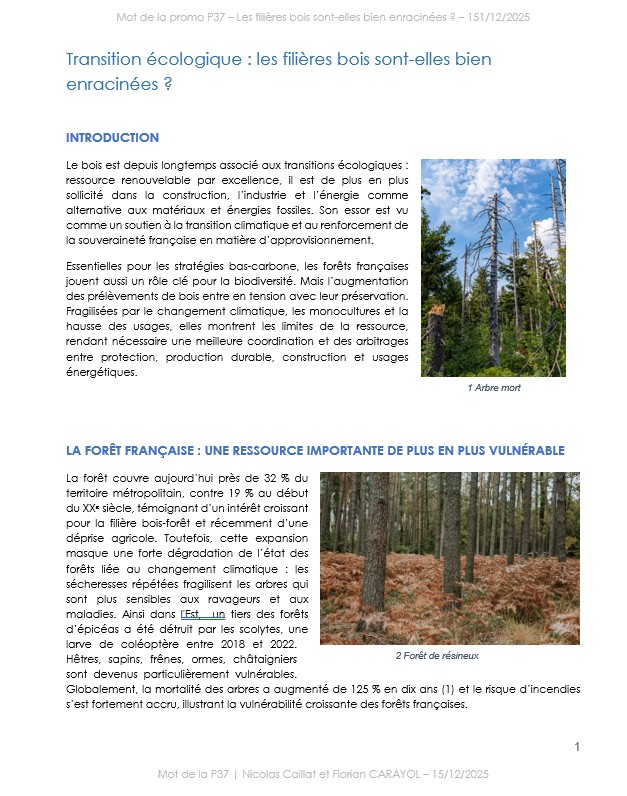 Mot-P37_Page-de-garde