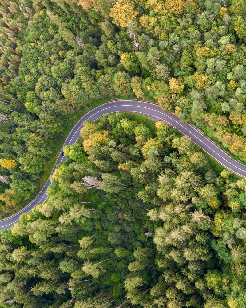 Une route sinueuse au cœur de la forêt vue du ciel